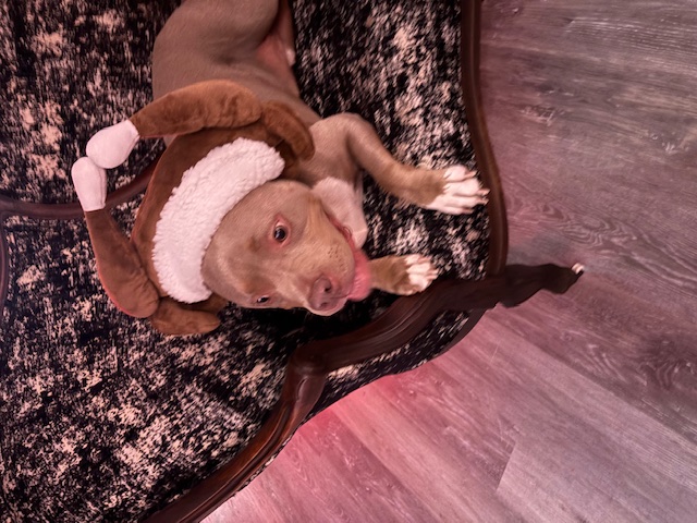 Coltrane wearing a turkey costume